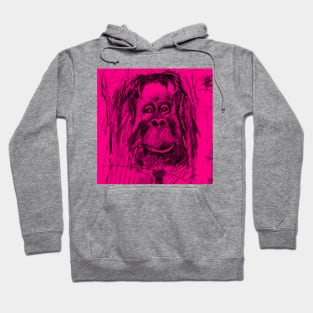 Monkey see Monkey do Hoodie